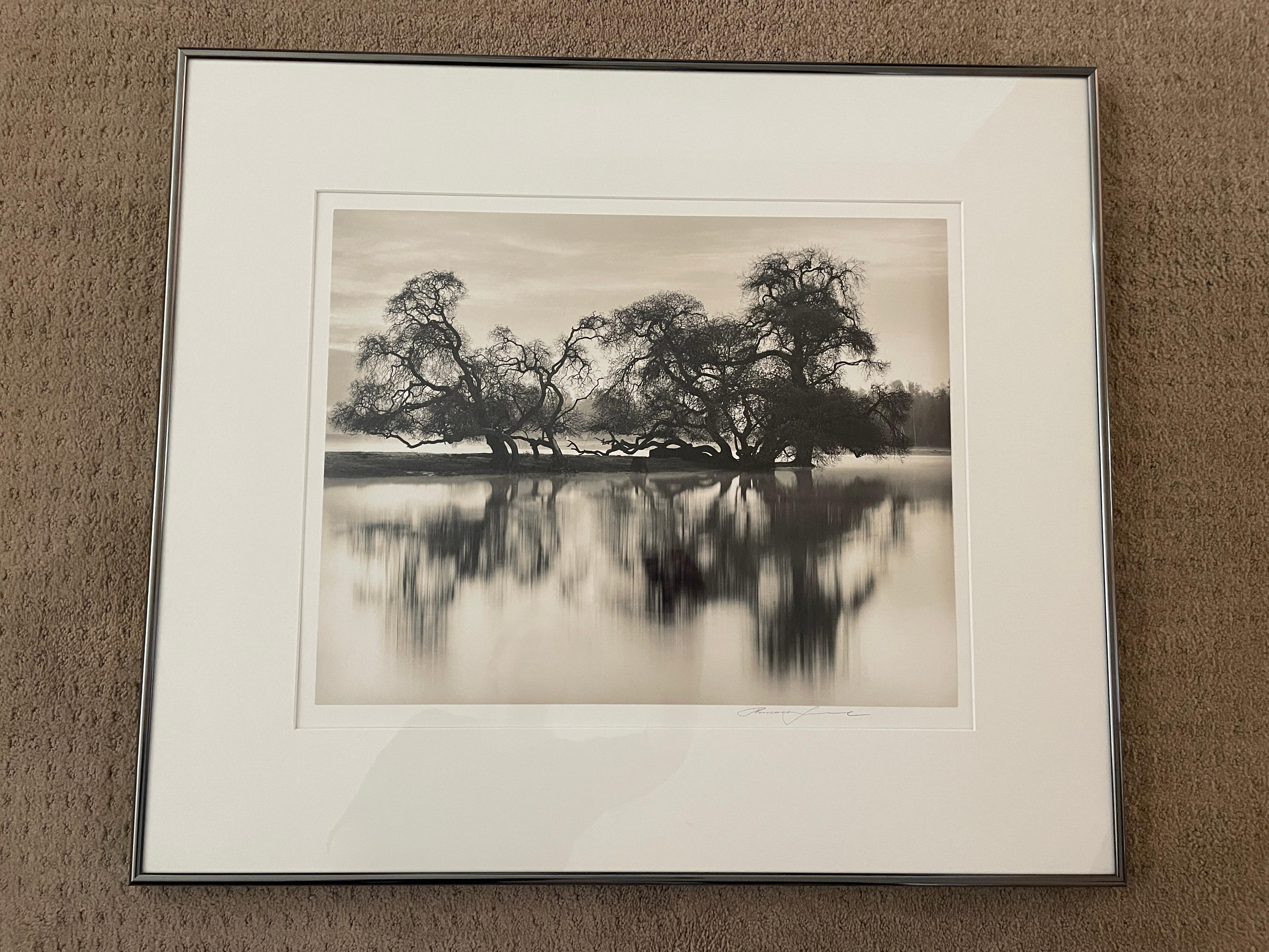 Kahle Bäume am Fluss (Grau), Black and White Photograph, von Roman Loranc