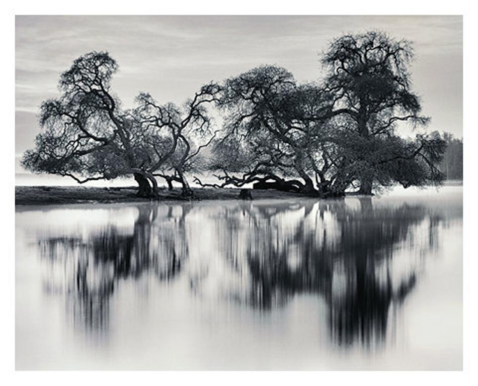 Roman Loranc Black and White Photograph - Bare Trees By River