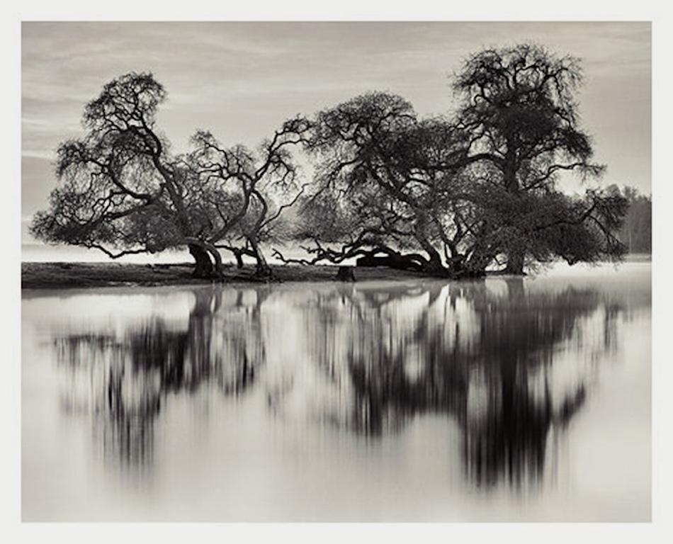 Roman Loranc Black and White Photograph – Kahle Bäume am Fluss