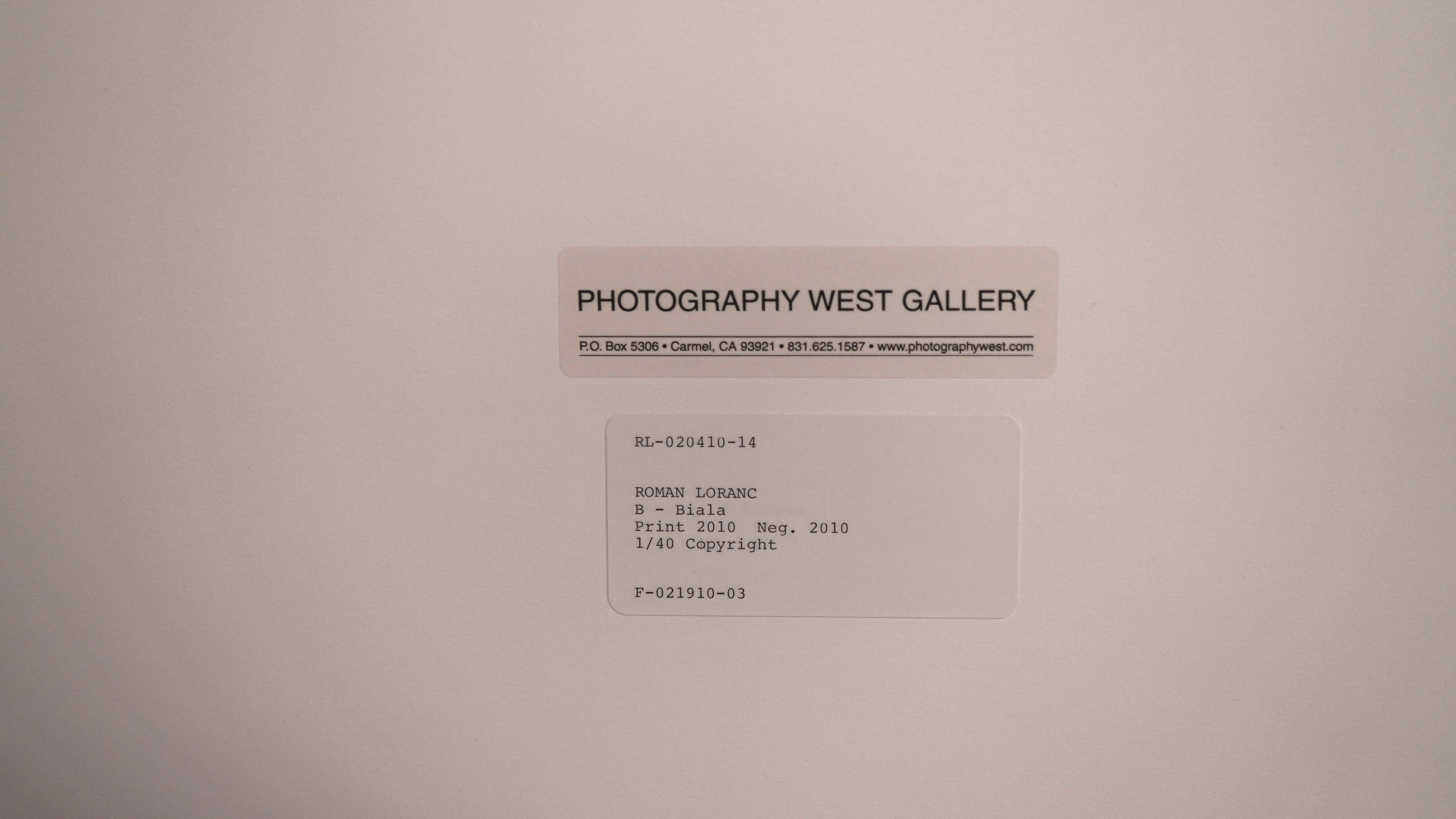 Hand printed photograph by artist.
Numbered 1/40, signed and dated on verso.
Signed in pencil on recto.
Mint Condition.
Framed in brushed warm walnut brown metal frame with plexiglass.