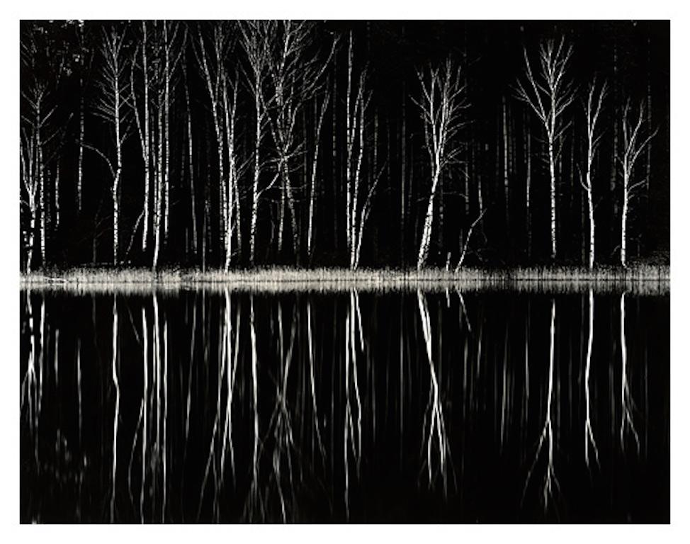 Roman Loranc Landscape Photograph - Black Forest, Fractal Dreams Book and Print Set Limited Edition