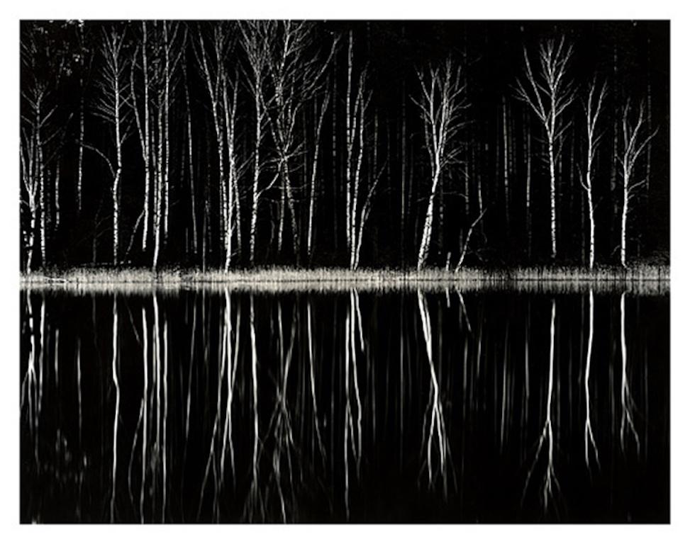 Landscape Photograph Roman Loranc - La forêt noire, Pologne 
