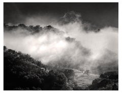 Carmel Valley Winter Storm