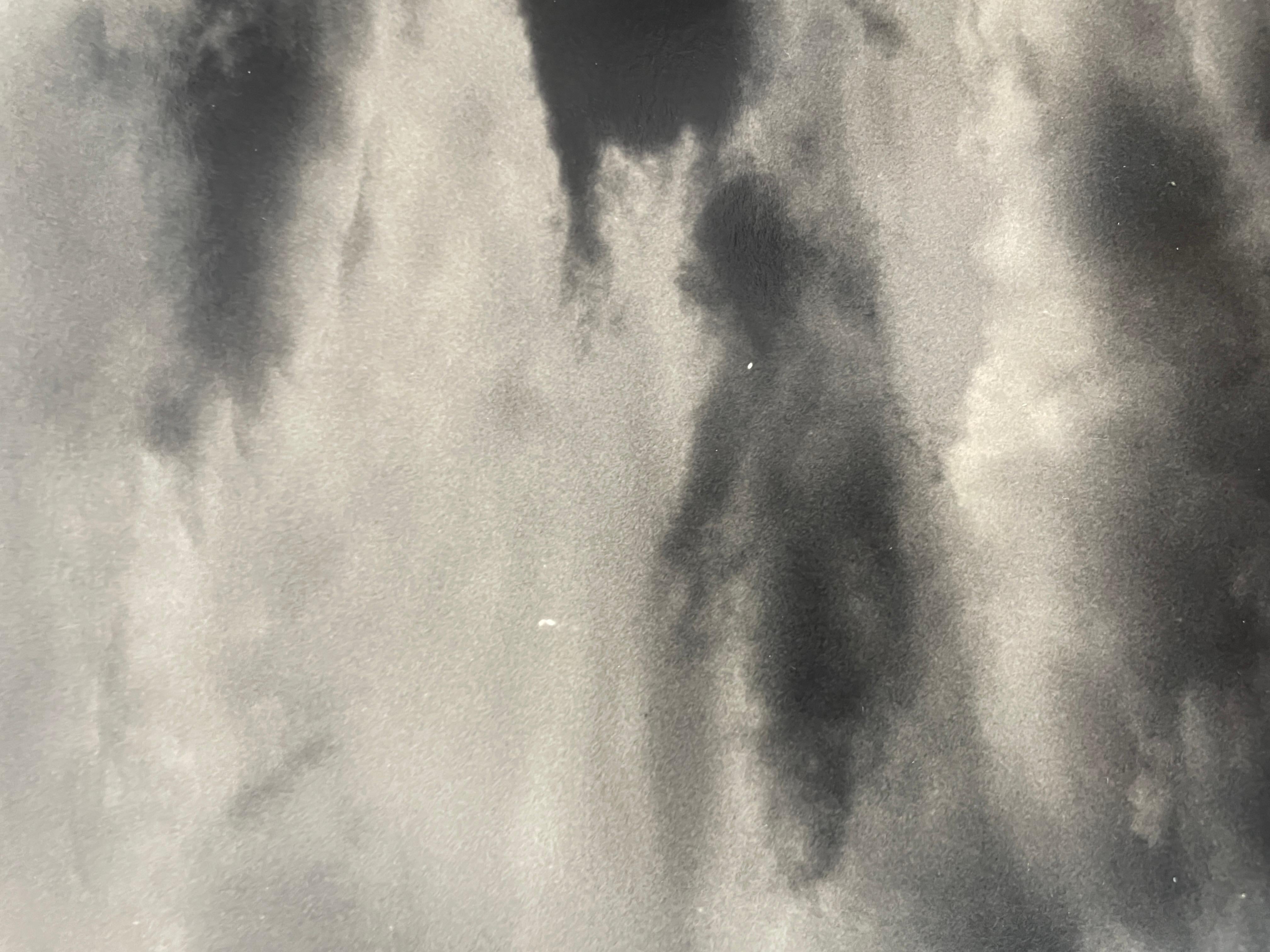 Homeward Bound, Polen (Grau), Landscape Photograph, von Roman Loranc