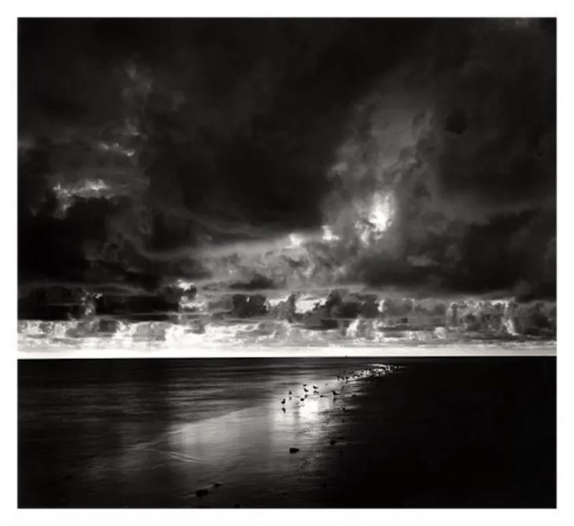 Roman Loranc Black and White Photograph - Jekyll Island, Beach With Birds, Georgia 