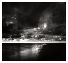 Jekyll-Insel, Strand mit Vögeln, Georgia