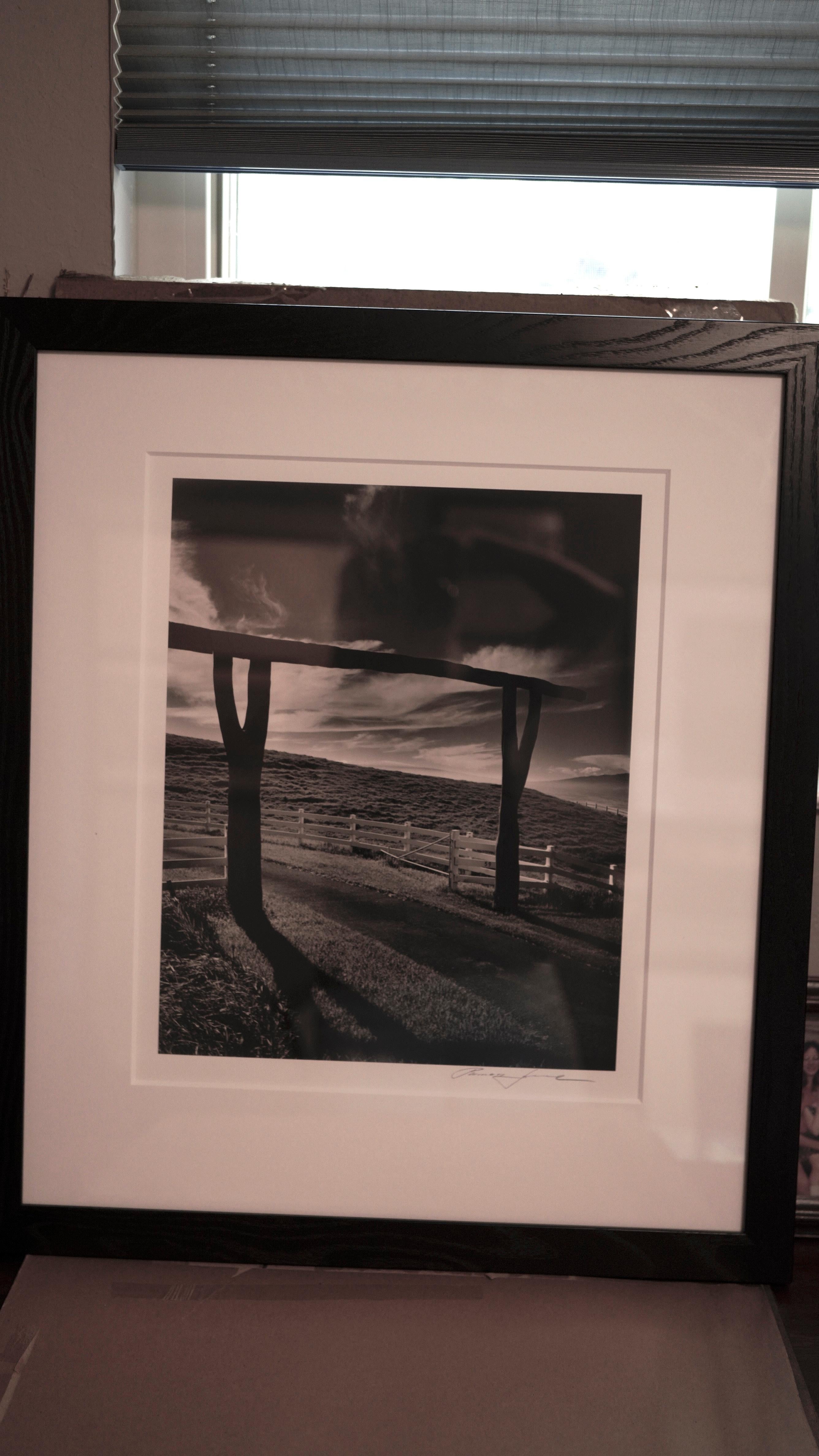 Kohla Ranch, Hawaii - Photograph di Roman Loranc
