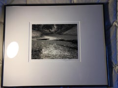 Pond and Blue Oaks, Consumnes River, California Original Silver Gelatin