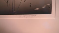 Musice de courtoisie, scène aquatique sereine