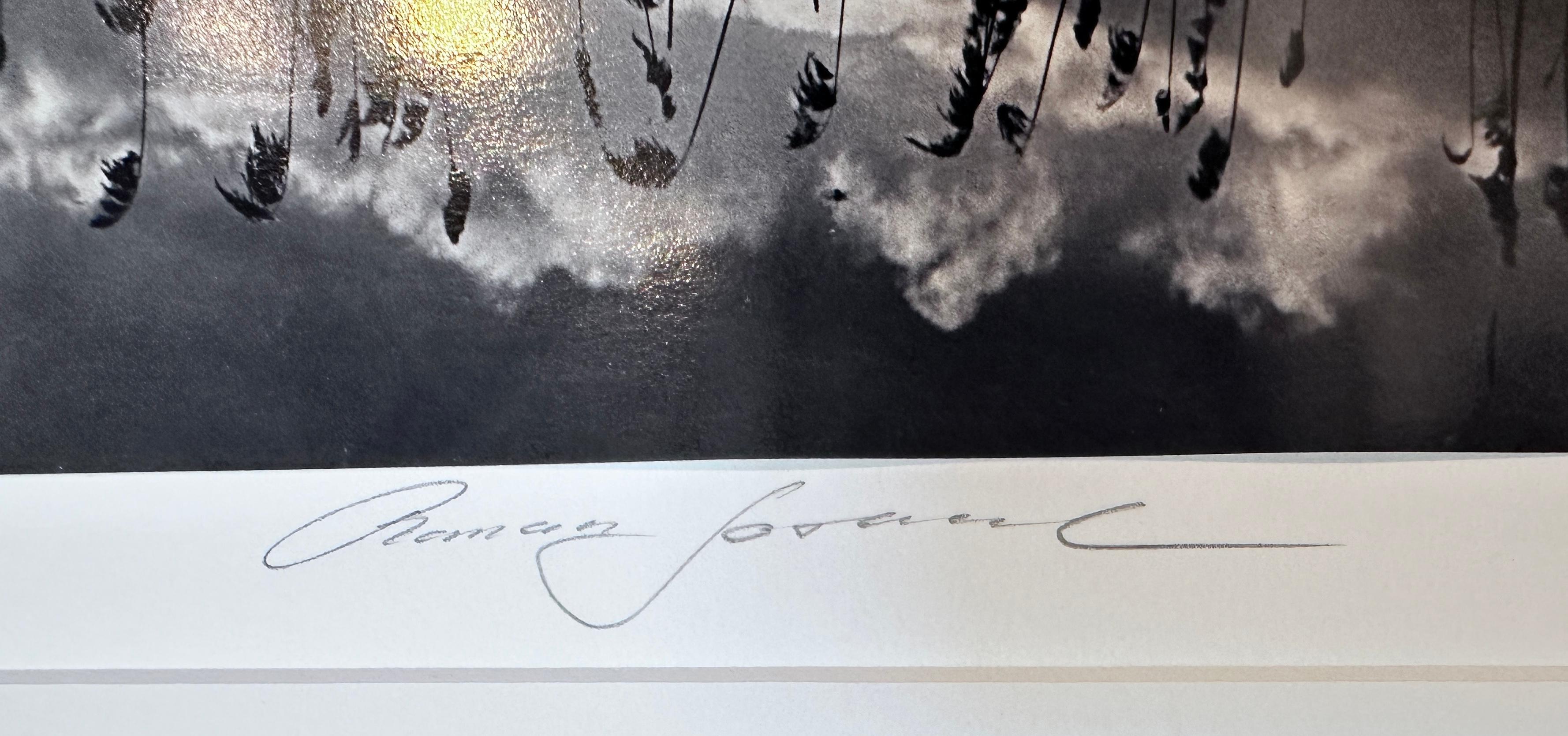 Sinfonía silenciosa - Photograph de Roman Loranc