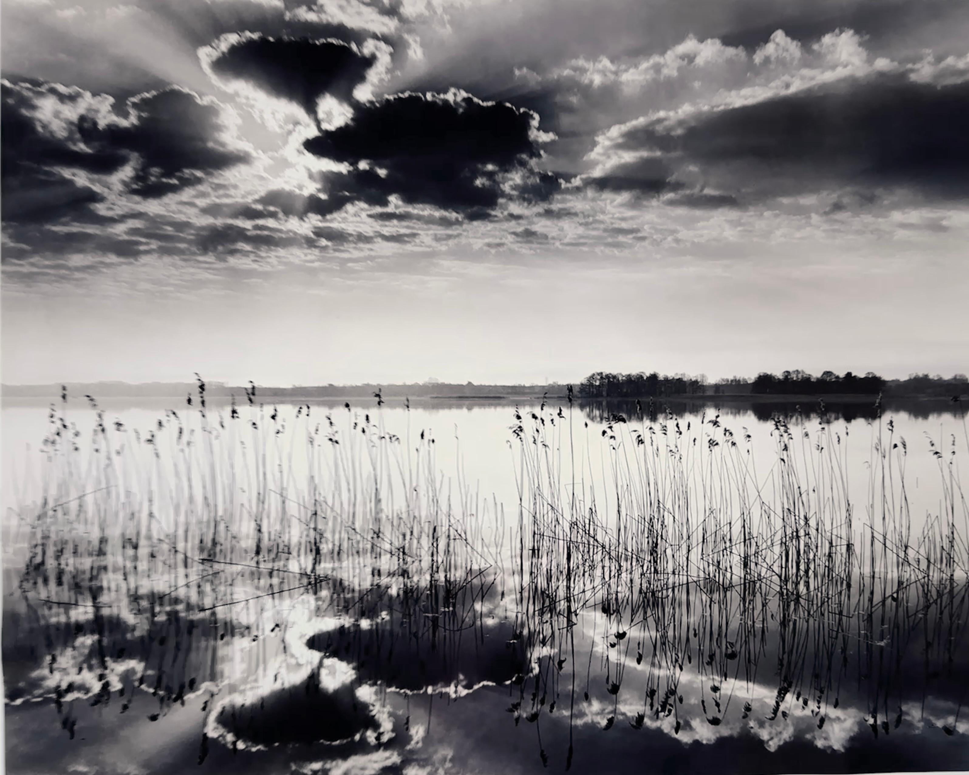 Sinfonía silenciosa - Black and White Photograph Marrón de Roman Loranc