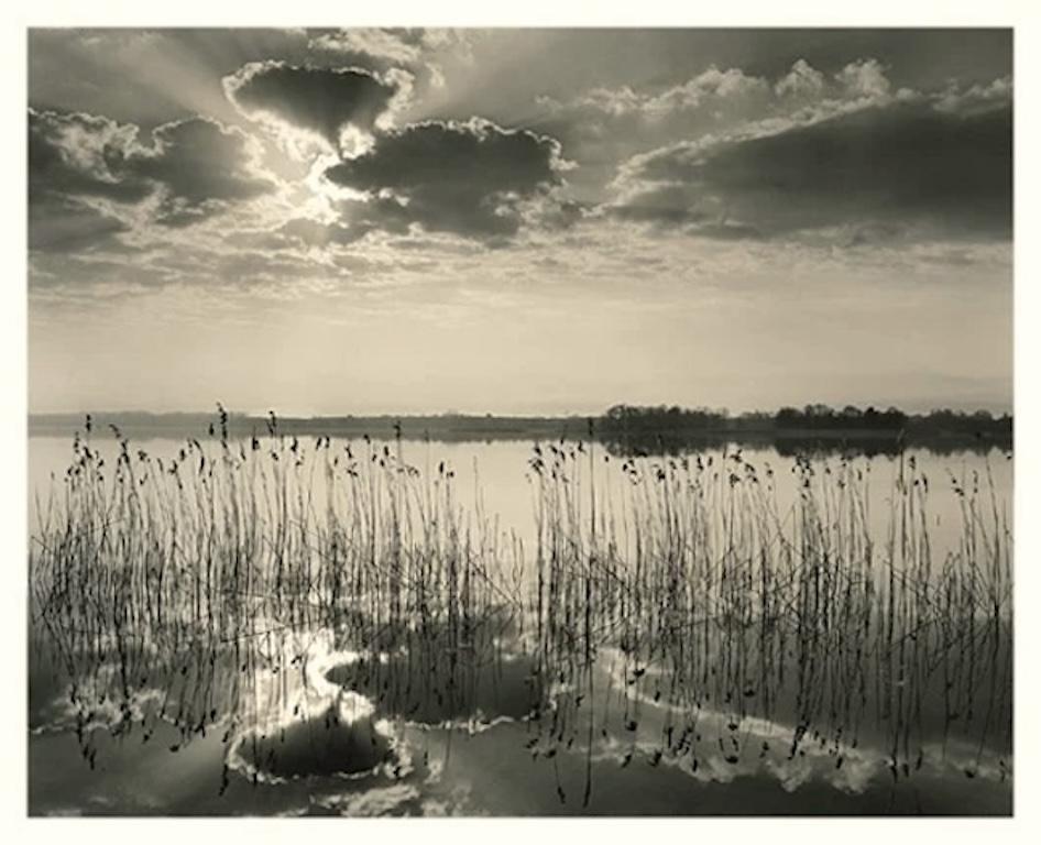 Symphonie tranquille