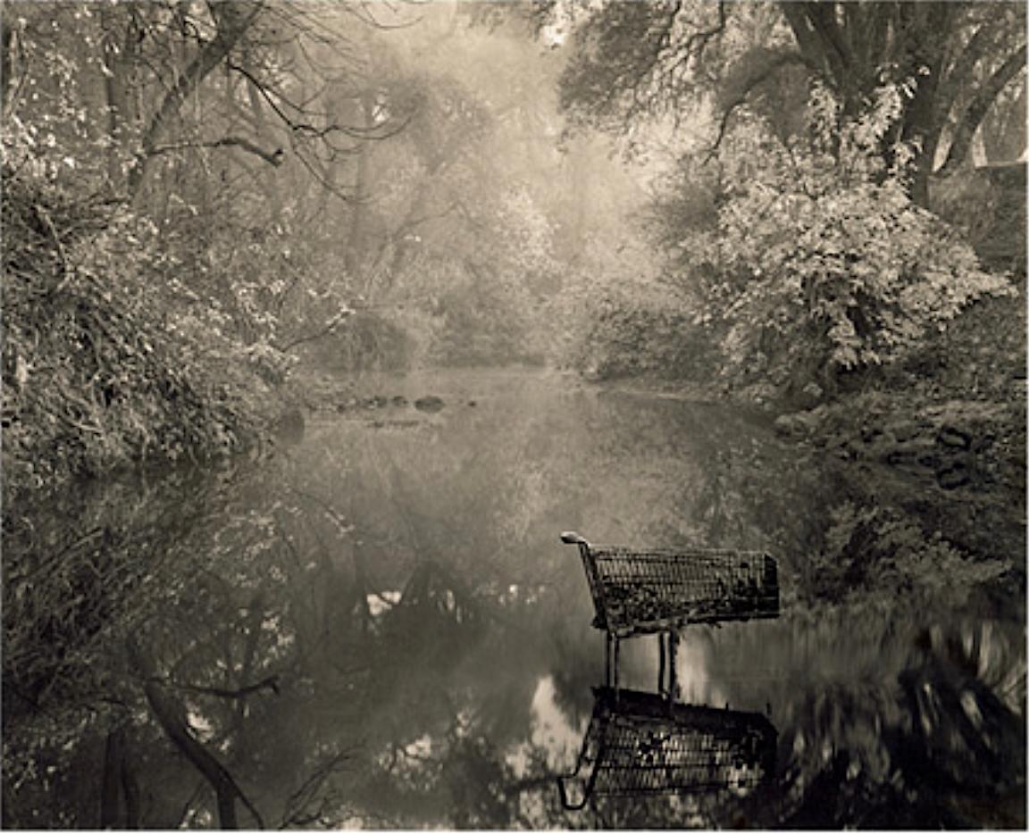 Landscape Photograph de Roman Loranc - Cesta de la compra en River, California