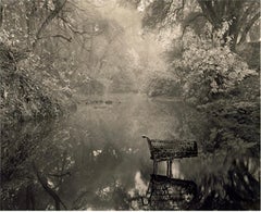 Shopping Cart in River, California