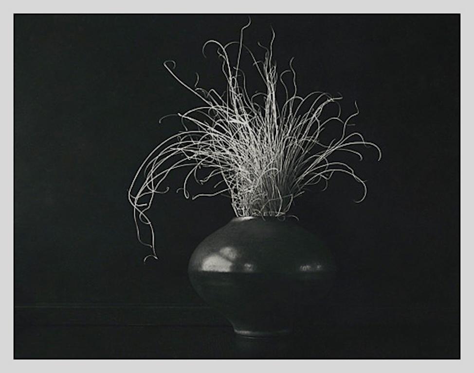 Still-Life Photograph de Roman Loranc - Hierbas mullidas