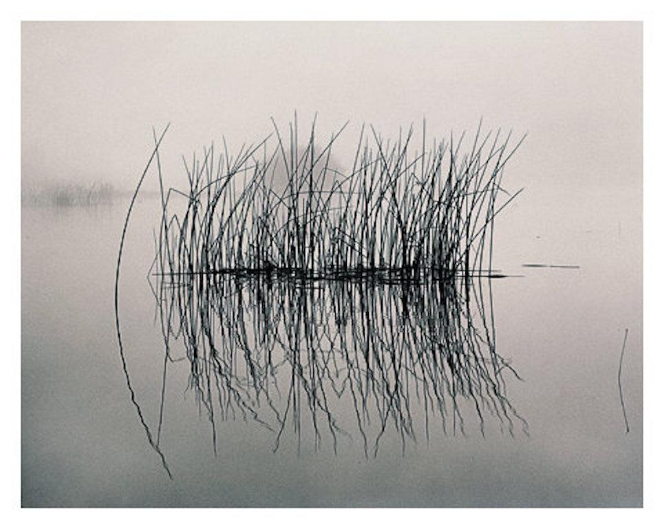 Roman Loranc Landscape Photograph - Tule Raft, Retired Negative. 