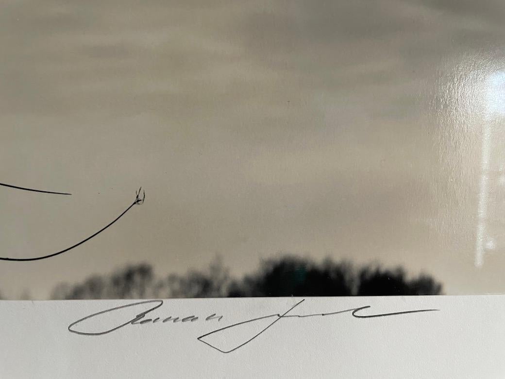 Photographie imprimée à la main par l'artiste
Signé au crayon au recto
Édition 30/75
Imprimé en 2008
Livré avec une édition limitée d'un livre à couverture cartonnée.  Rêves fractals
Signé, titré et daté au verso.
Encadré en bois noir avec mat gris