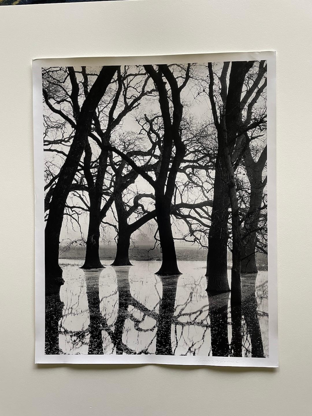 Einzigartige, vom Künstler geschenkte Fotografie.  Selten und sammelwürdig.  Beide Fotografien sind in gutem Zustand. Valley Oaks In Fog wäre das empfohlene Frontstück, das ausgestellt werden sollte.  Ein sehr unterhaltsames Stück.
Gedruckt vom
