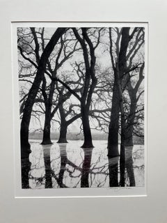 Valley Oaks In Fog With Additional Photograph on Verso 'White Oaks Variant' RARE