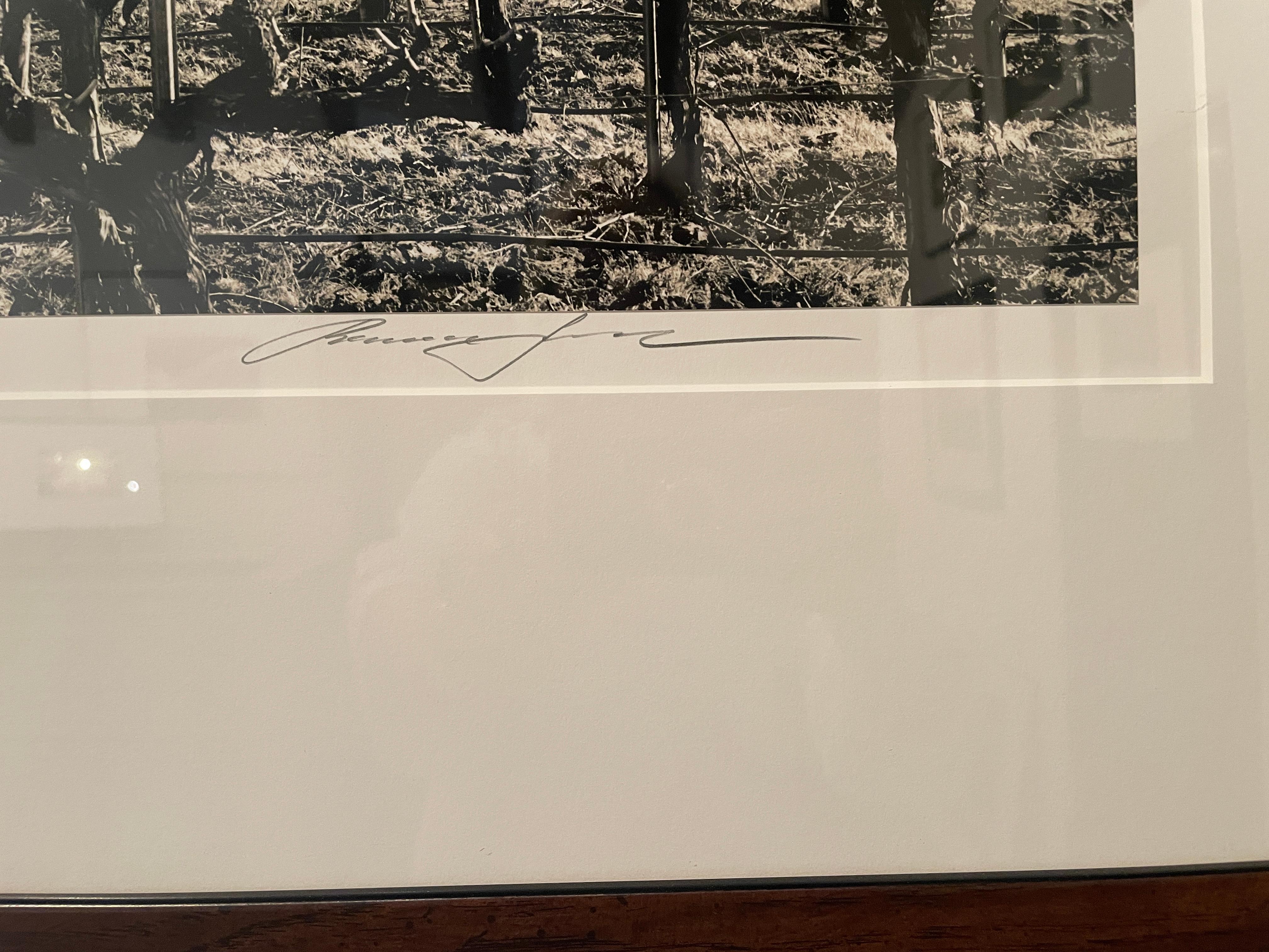 Vineyard with Clouds (or also known as) Crucified Landscape - Beige Black and White Photograph by Roman Loranc