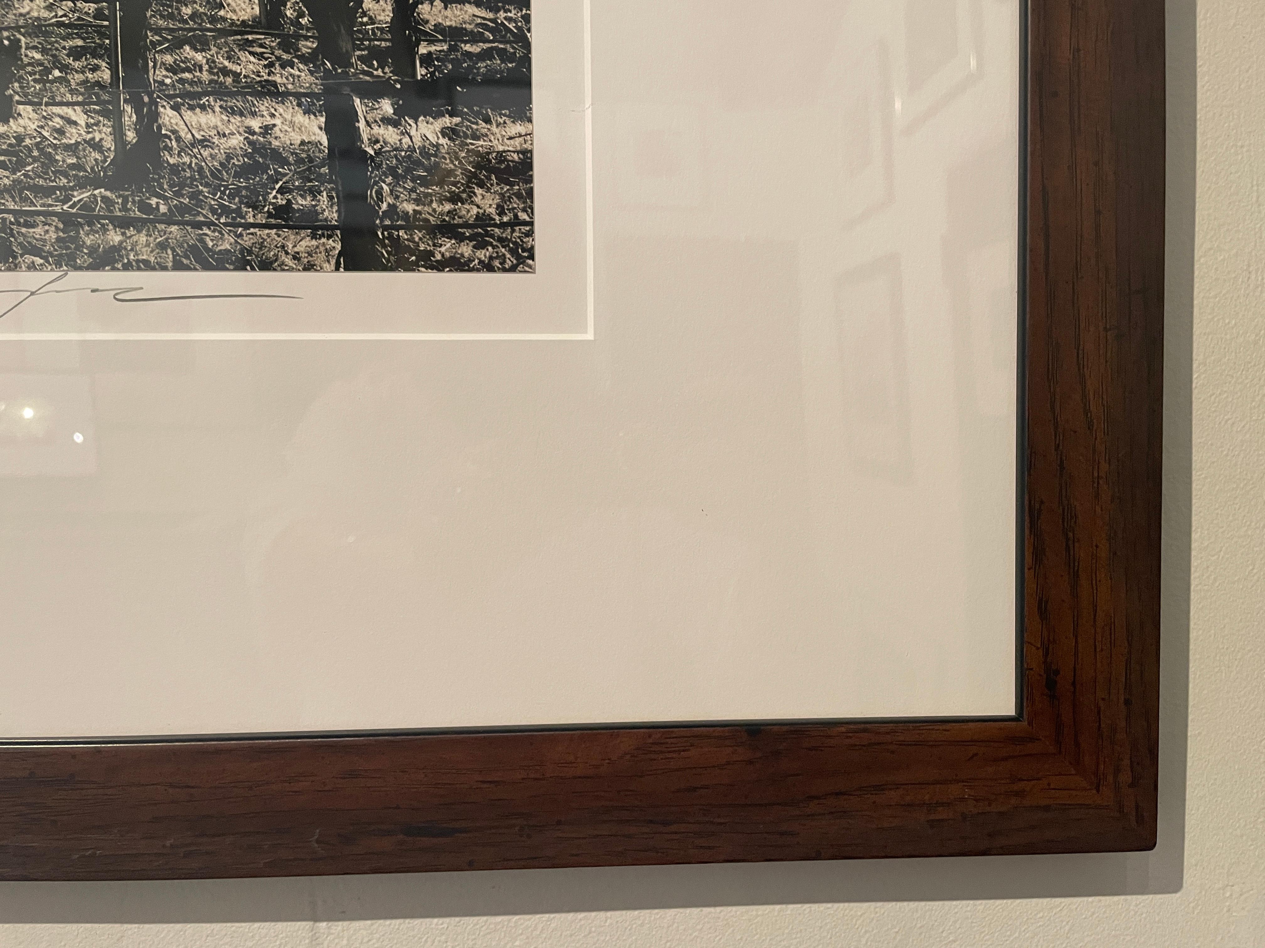 Roman was asked to photograph this old vineyard for the Nature Conservatory because it was going to be torn down. He captured it and titled it aptly. 
It is hand printed by the artist and the best toned print I've seen of this image.
Negative has