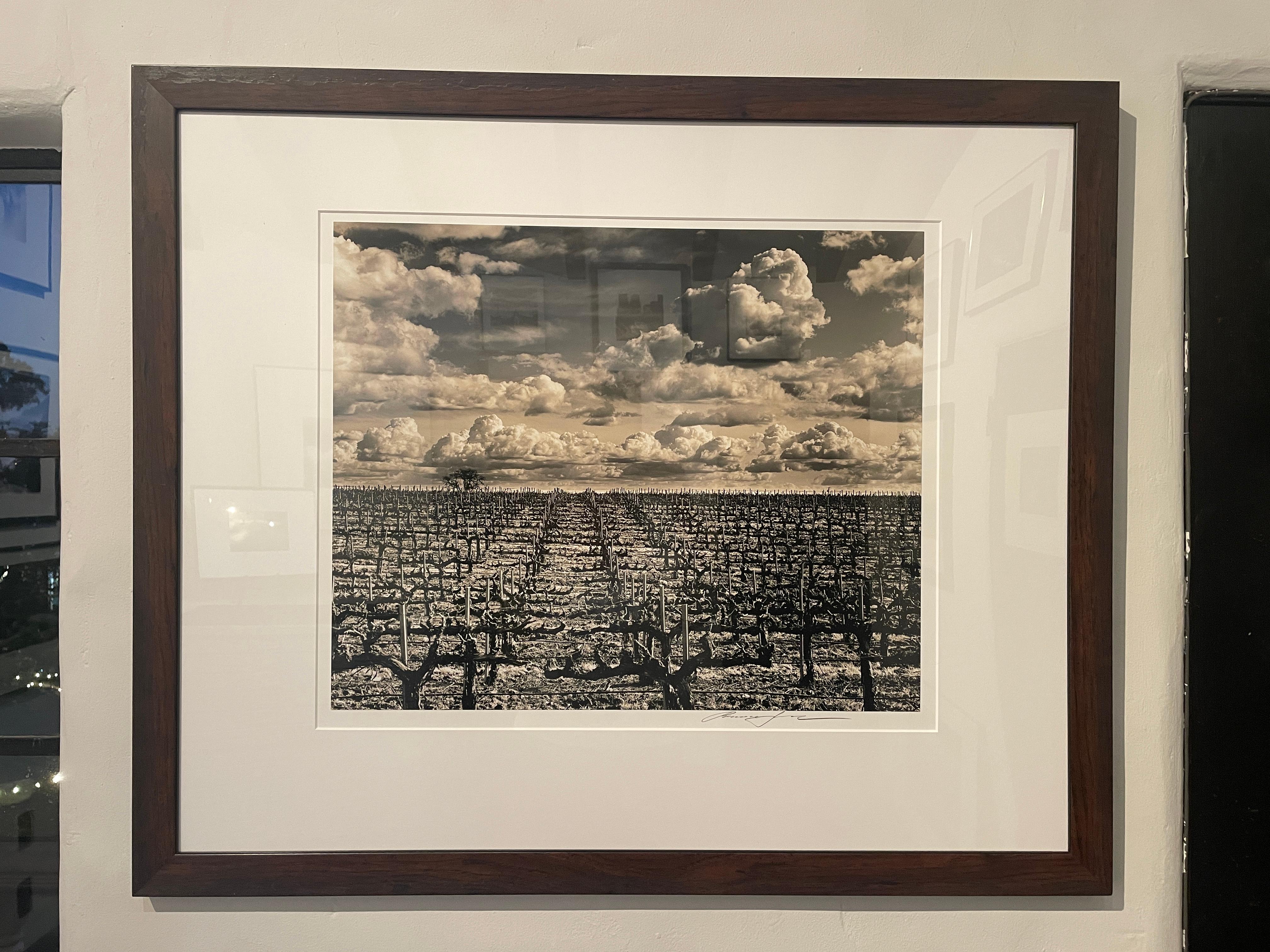 Roman Loranc Black and White Photograph - Vineyard with Clouds (or also known as) Crucified Landscape