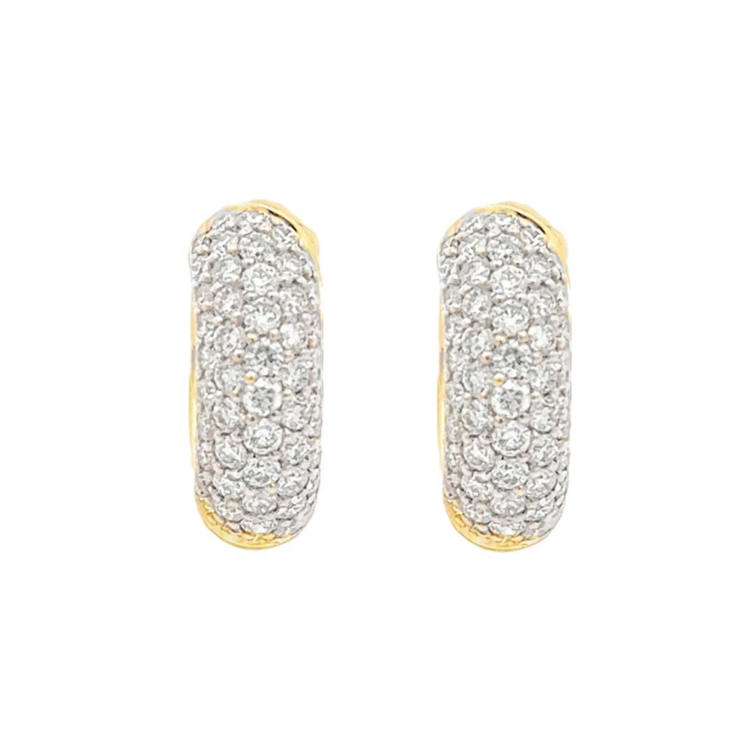 Une élégante paire de boucles d'oreilles 