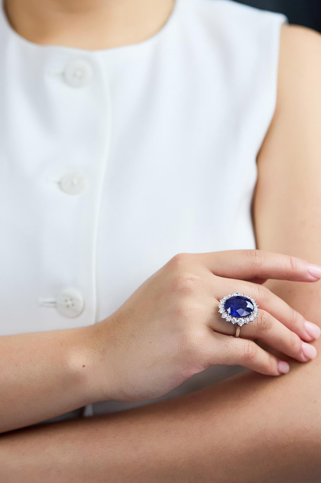 Roman Malakov 16,89 Karat Ovalschliff Saphir & Diamant Halo Cocktail Ring Damen im Angebot