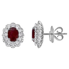 Roman Malakov 1,72 Karat Ovalschliff Rubin und Diamant Double Halo Ohrringe