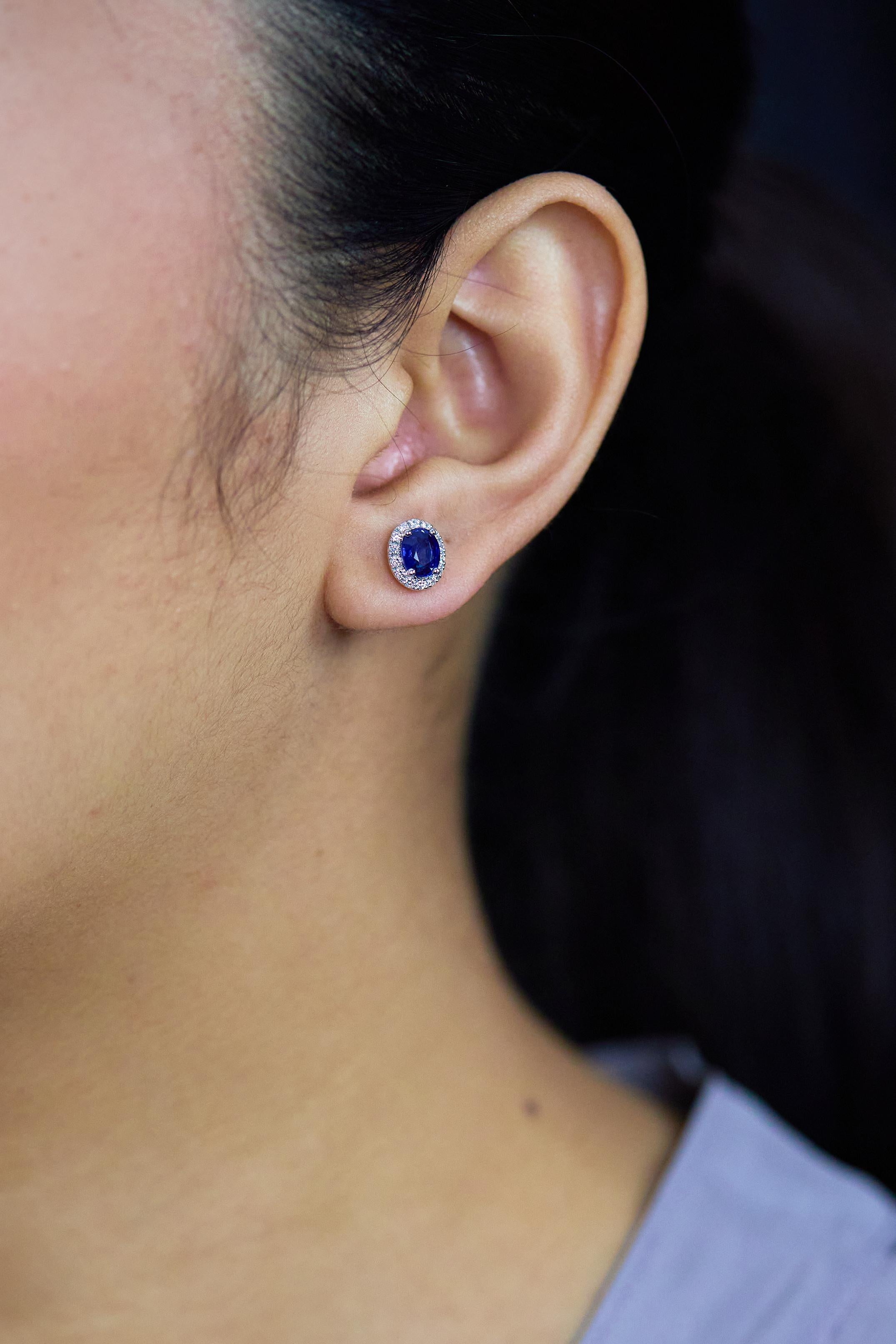 Taille ovale Roman Malakov, clous d'oreilles avec saphirs de taille ovale et diamants de 2,25 carats au total en vente