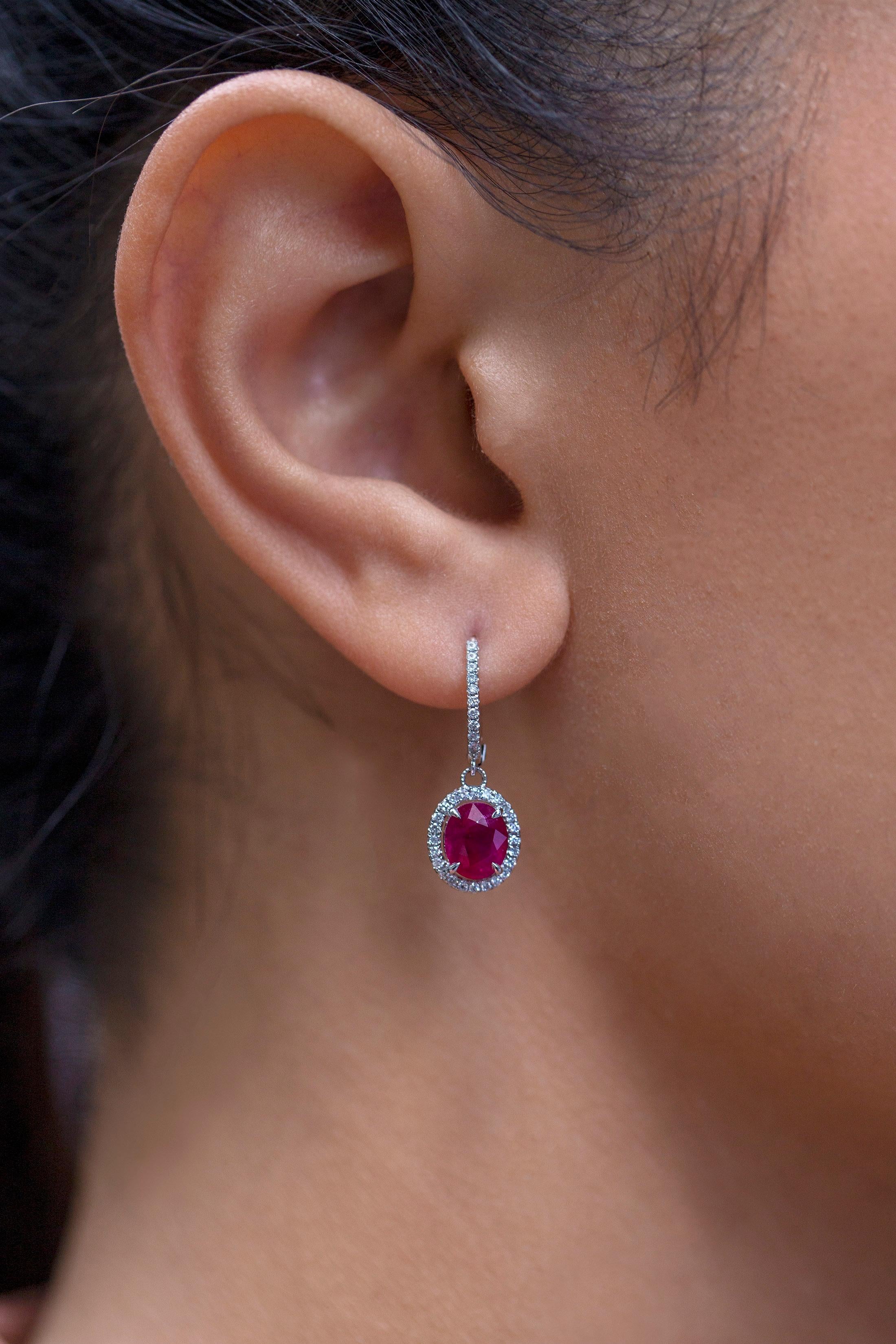 Women's Roman Malakov 2.83 Carats Total Oval Cut Ruby and Diamond Halo Dangle Earrings For Sale
