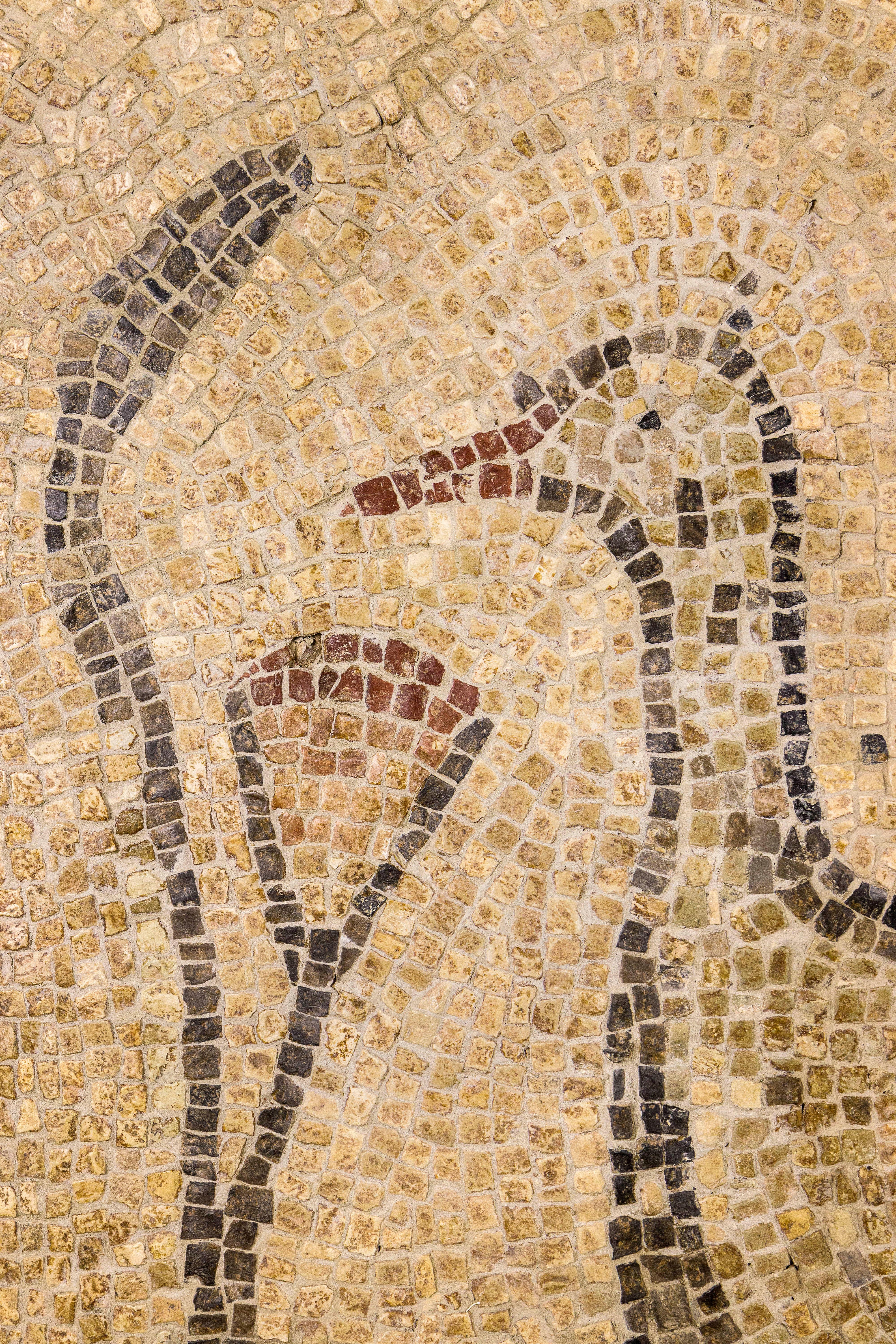 Classical Roman Roman Mosaic, 5th Century, Italy For Sale