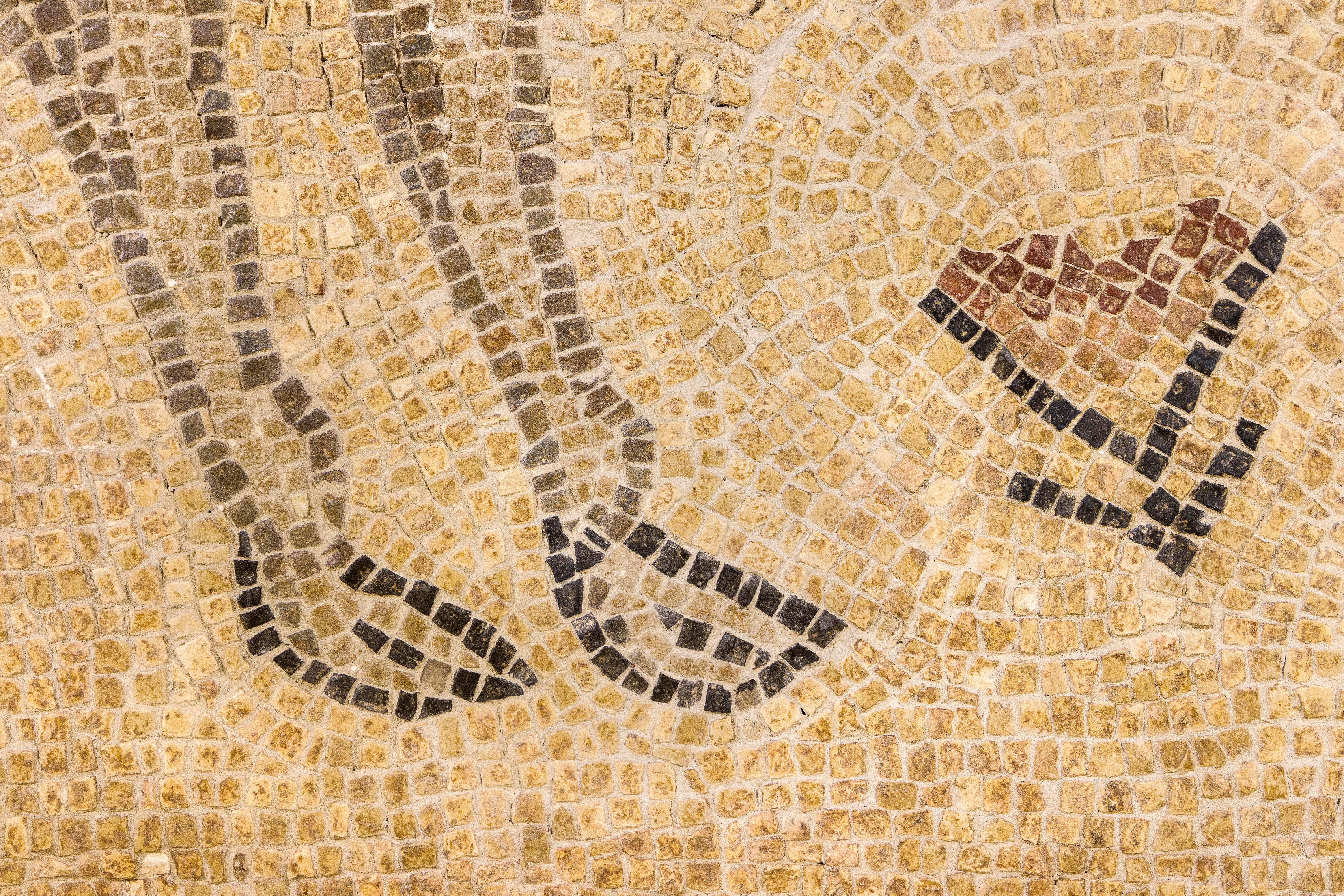 Italian Roman Mosaic, 5th Century, Italy For Sale