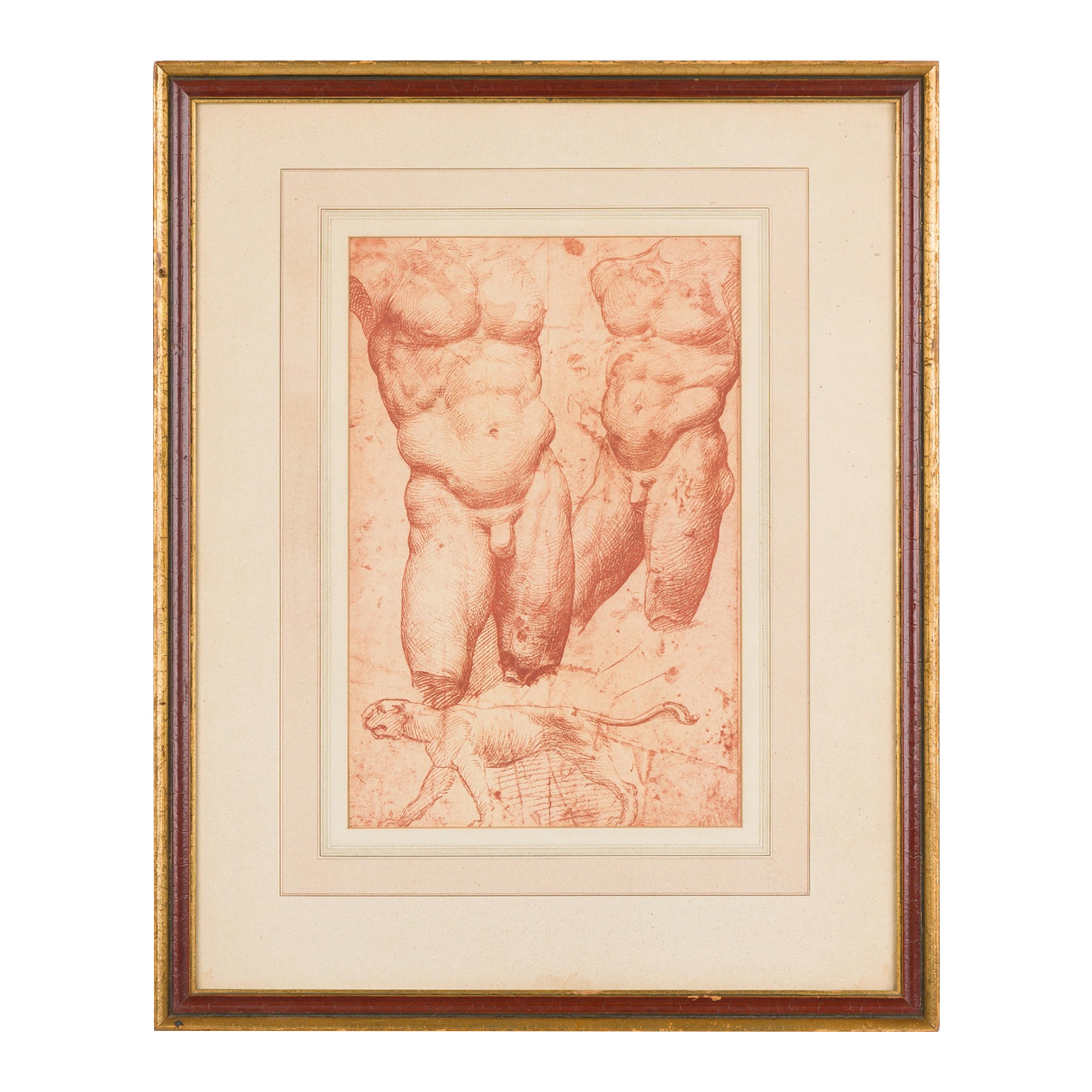 Roman Neo-Classic Style Two Male Torsos Print