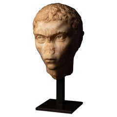 Roman portrait of a young North African Man - Middle of the 3rd century