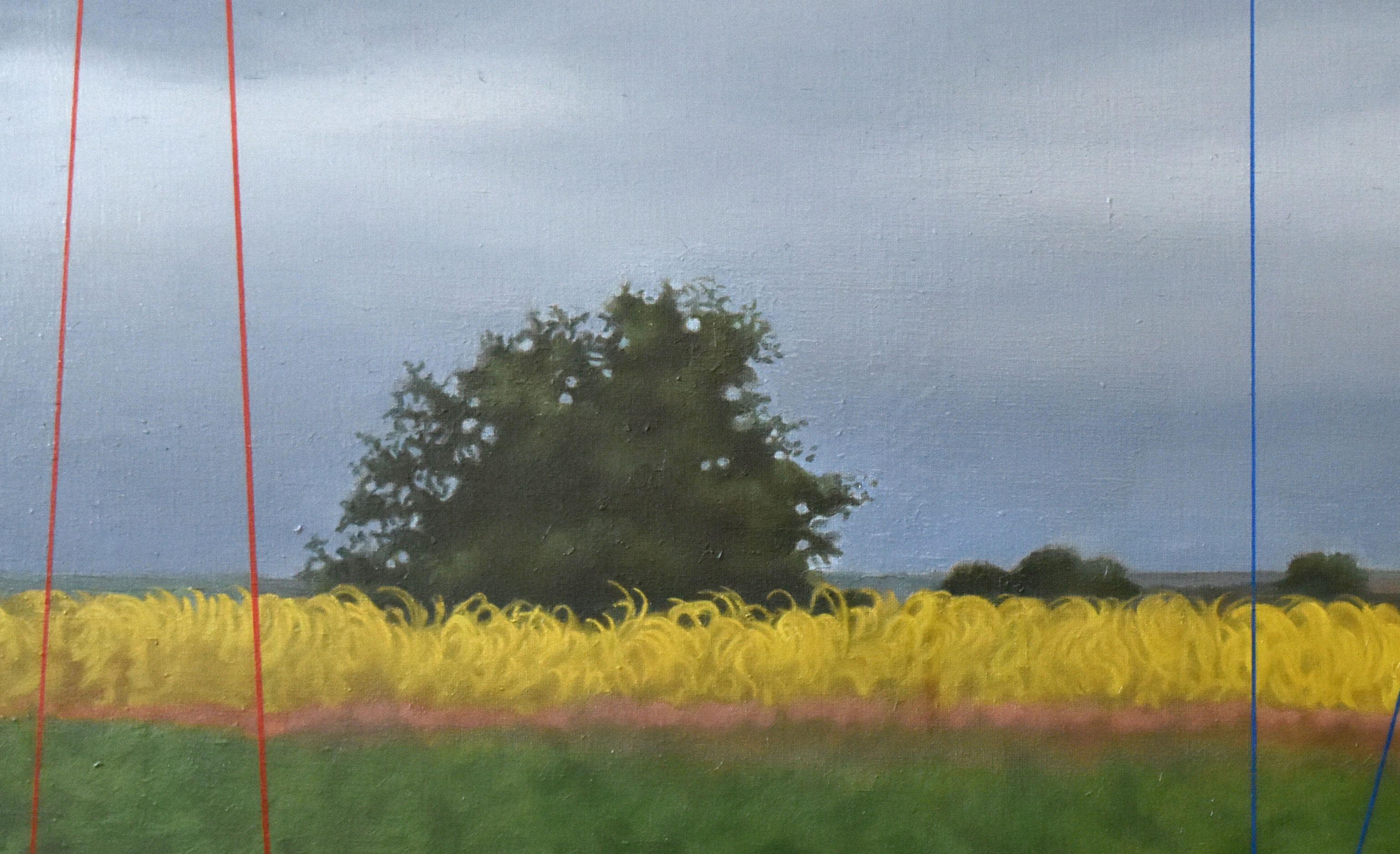 Crossed out country, , Painting, Oil on Canvas For Sale 1