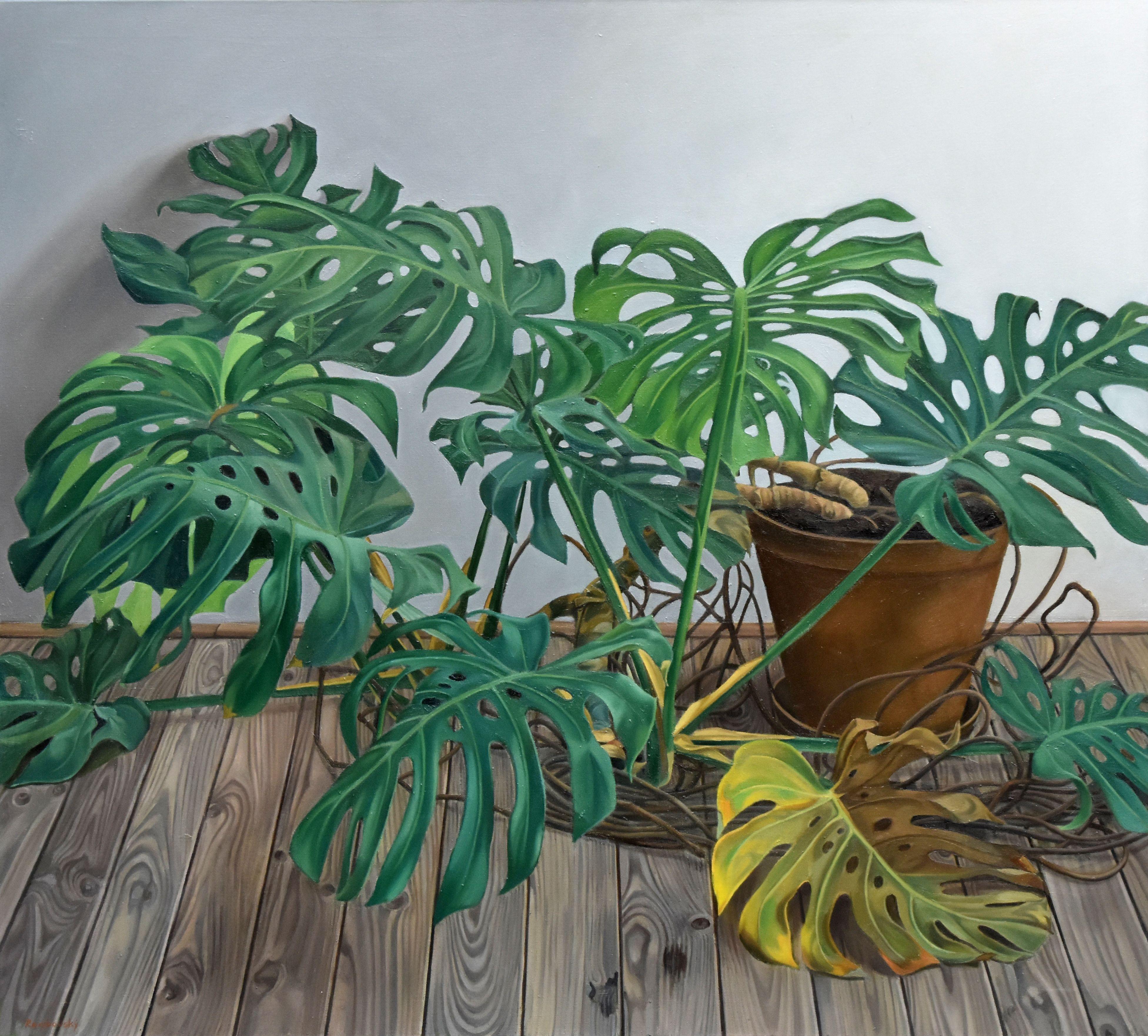 Monstera deliciosa, Painting, Oil on Canvas