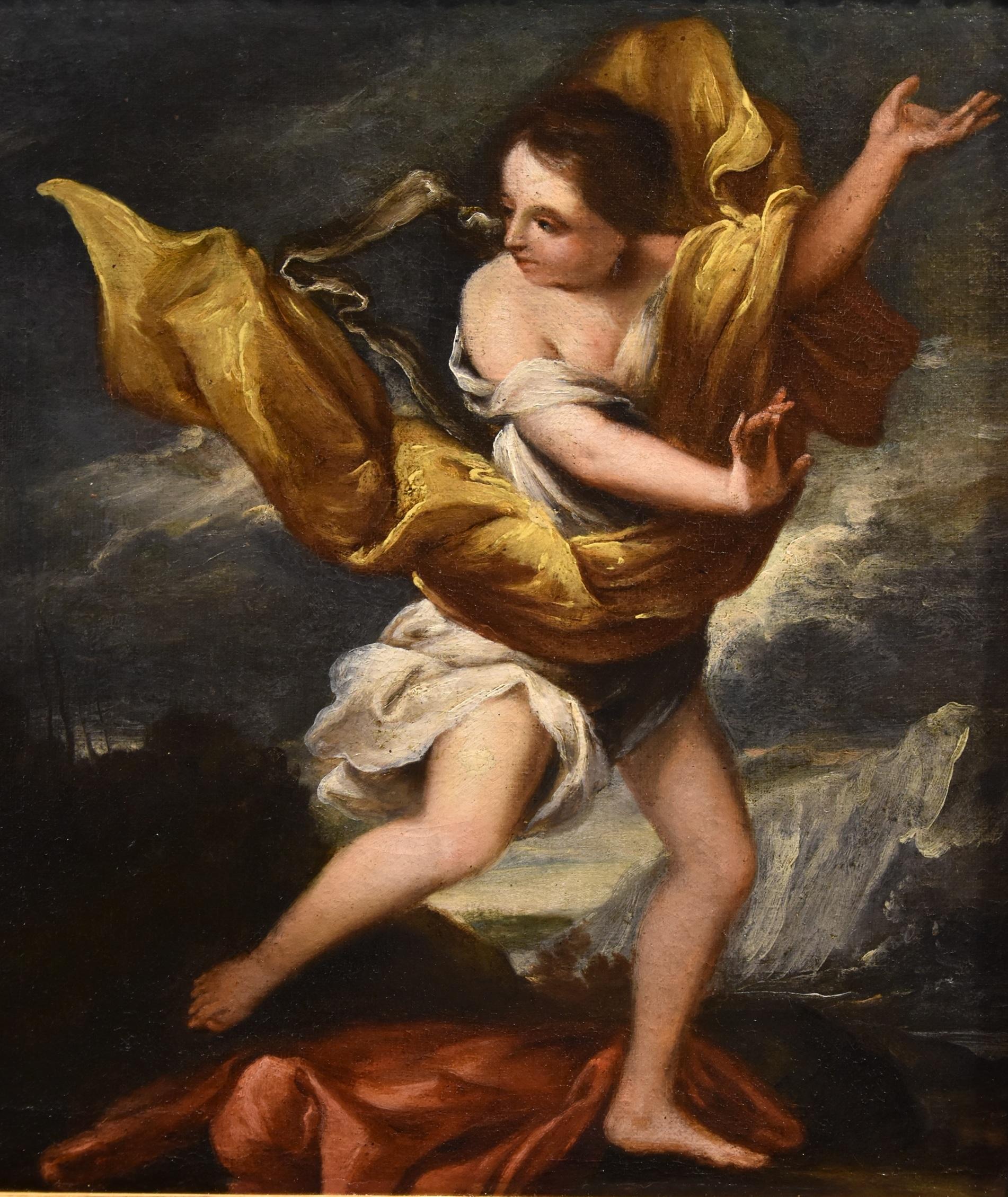 Ninfa Dafne Cupido dipinto Scuola romana 17/18° secolo Vecchio maestro Olio su tela in vendita 3