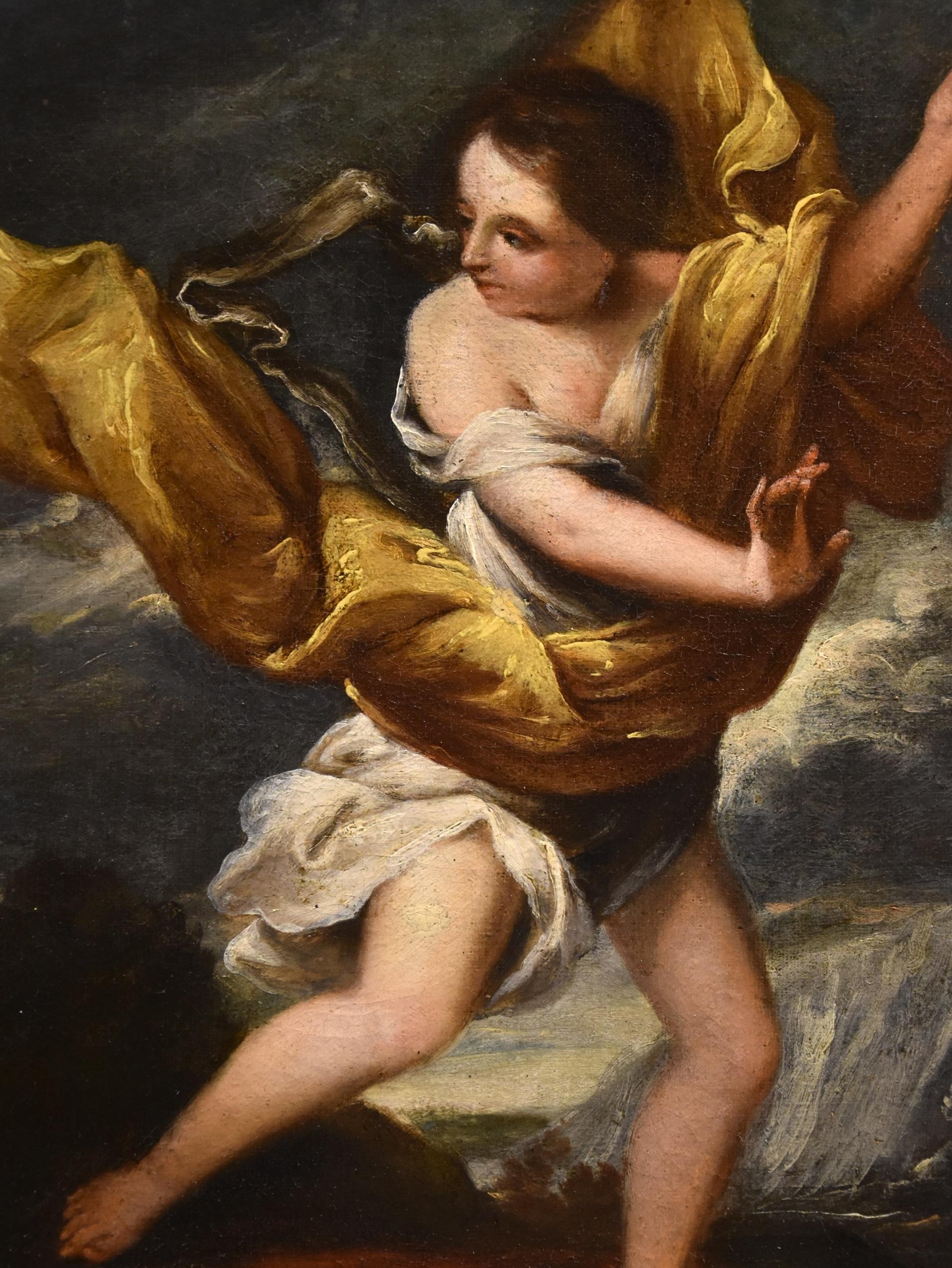Ninfa Dafne Cupido dipinto Scuola romana 17/18° secolo Vecchio maestro Olio su tela in vendita 4