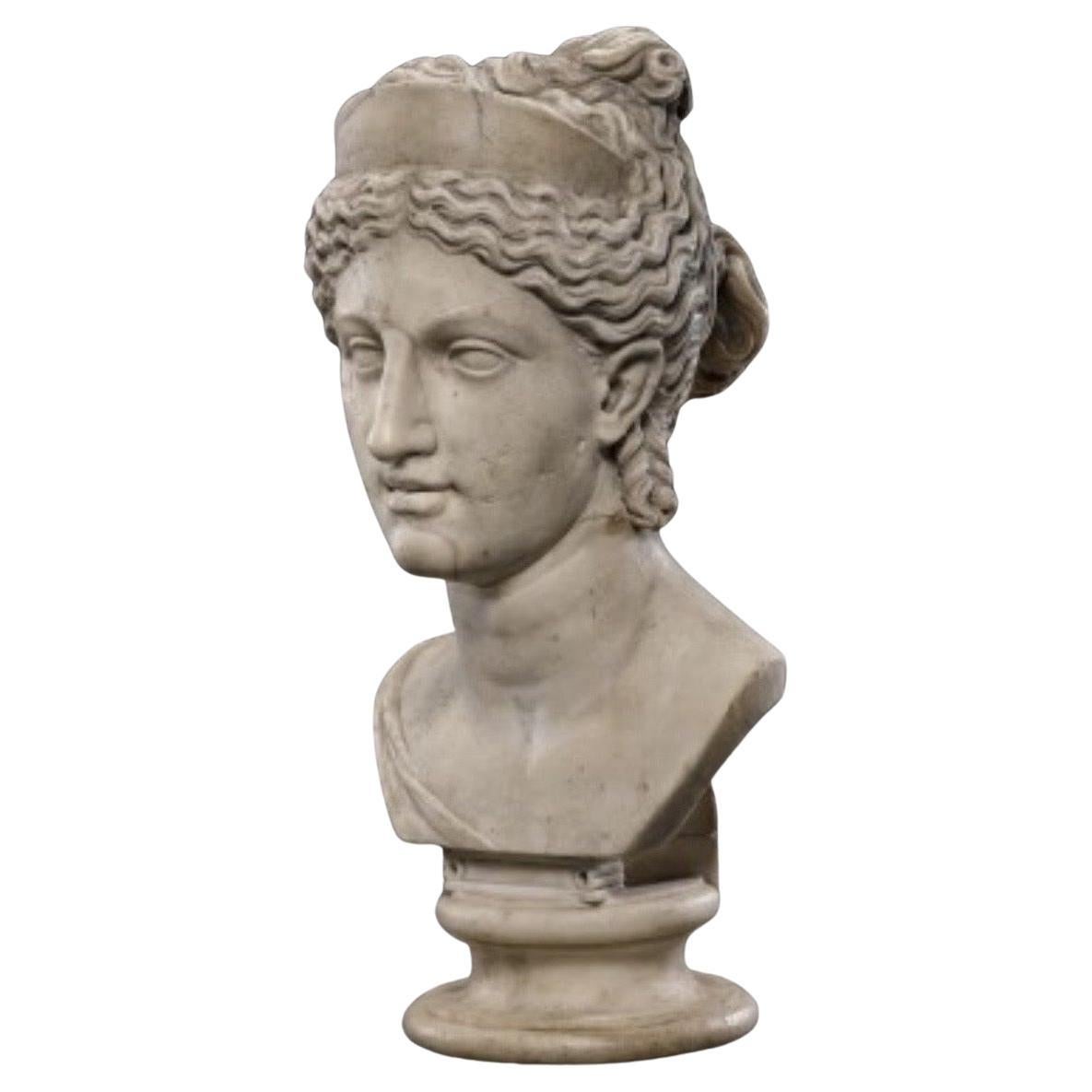 Este busto de mármol de estilo romano de Afrodita es un tributo intemporal a la diosa del amor y la belleza, que capta su serena elegancia y su encanto clásico. Tallada a mano por expertos en mármol macizo, esta escultura resalta los suaves