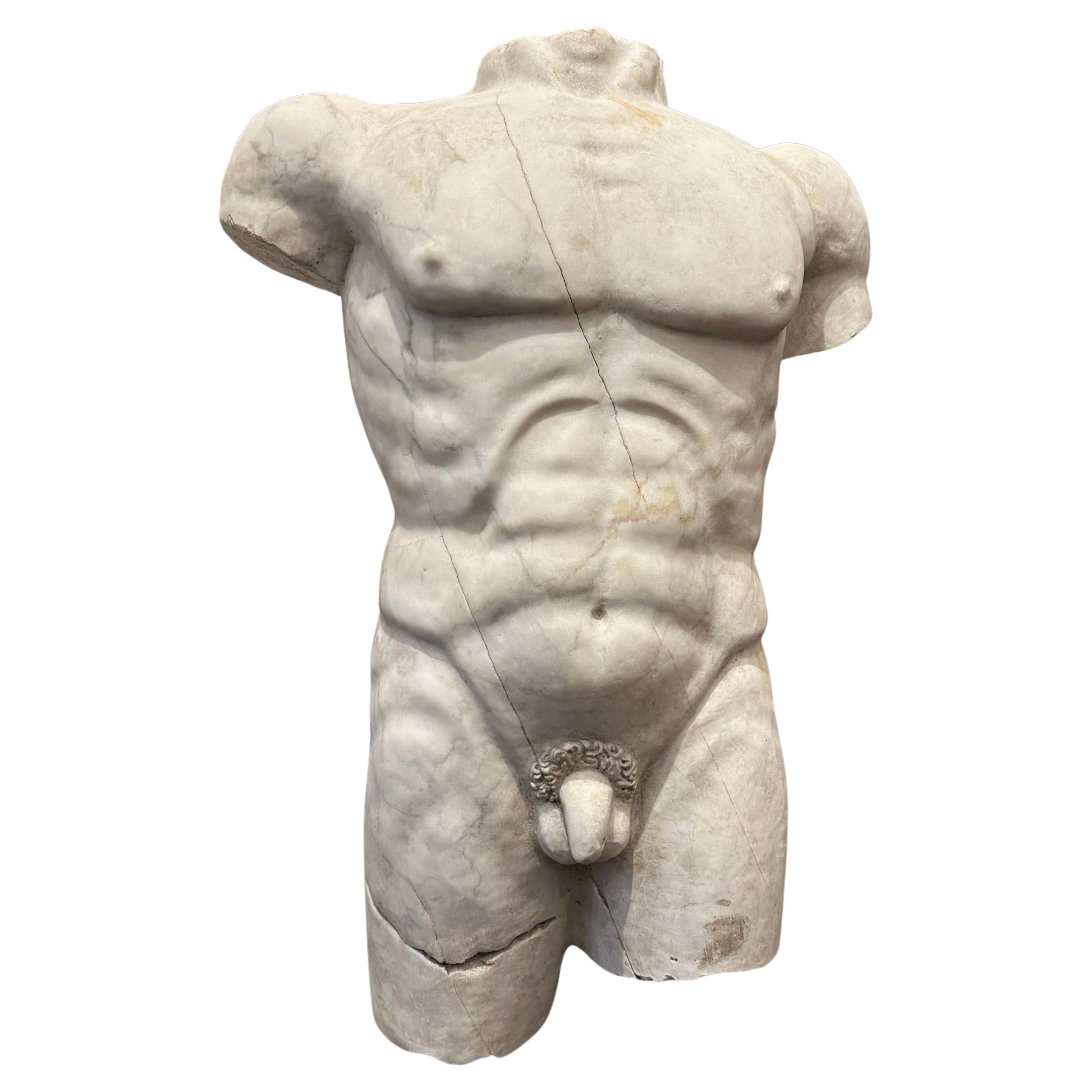 Roman Style Marble Torso On A Black Marble Base For Sale