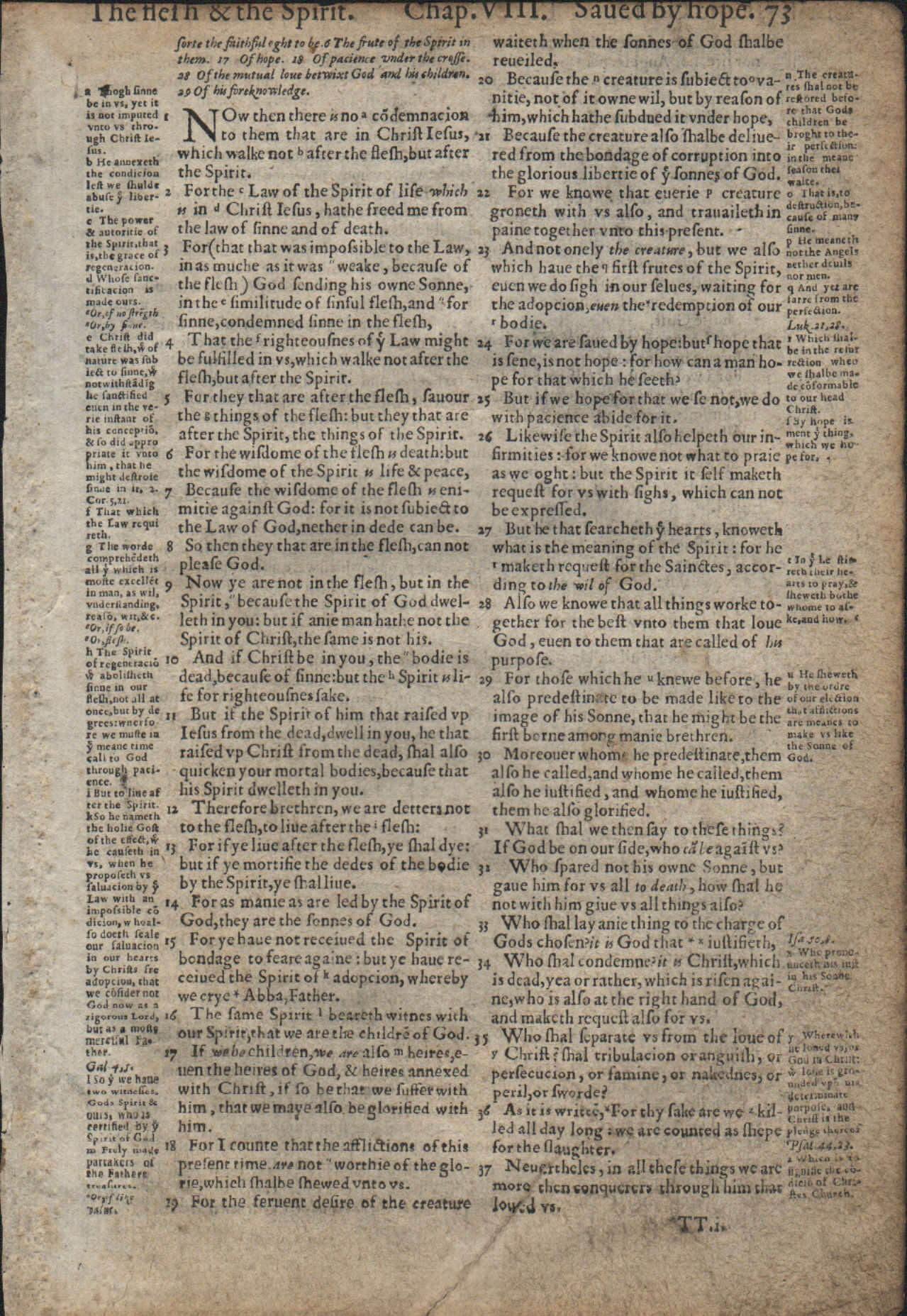 Hand-Crafted Romans, Complete Book from the 1560 