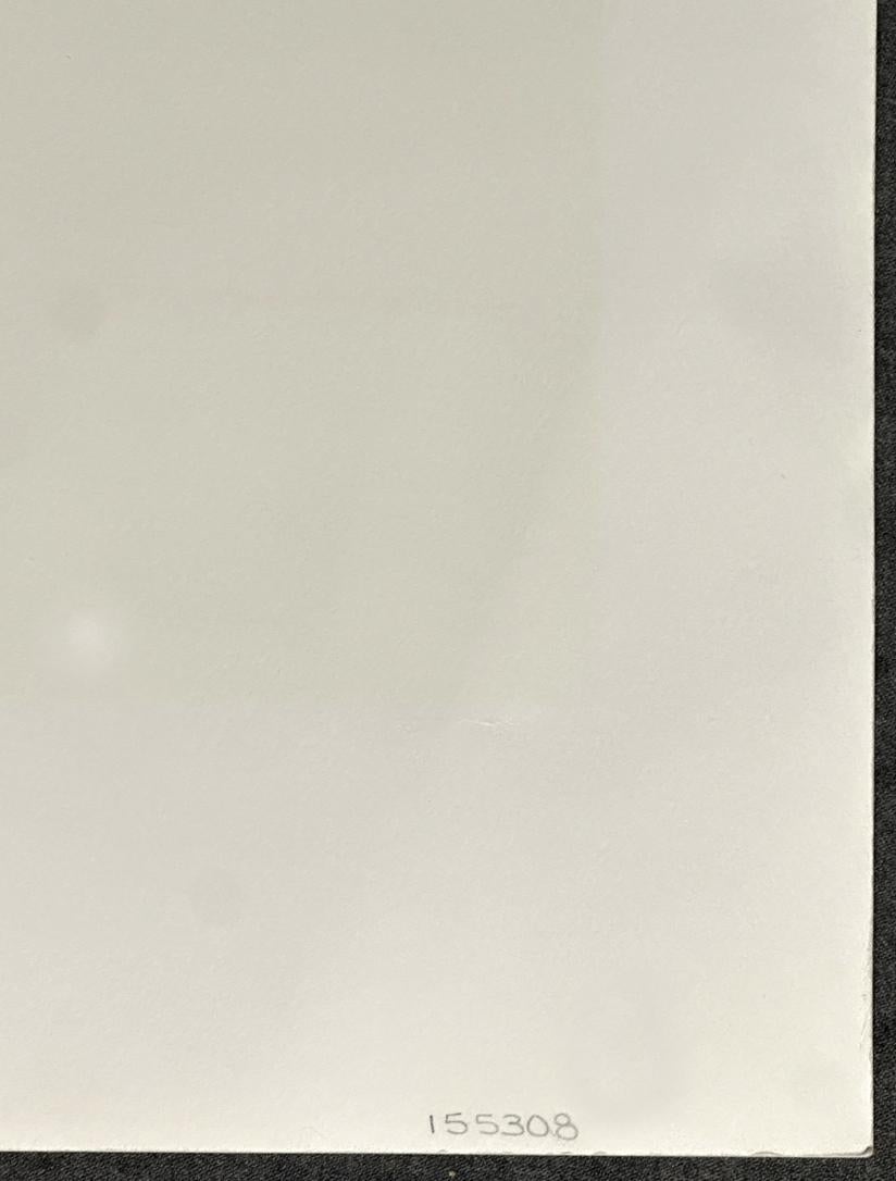 La porta aperta 1979 Litografia firmata in edizione limitata in vendita 3