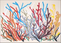 Gray and Brown Corals, Horizontal Coral Reef, Illustration Style, Organic Forms