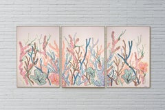 Pastel Coral Triptych, Abstract Coral Reef, Ocean Awareness, Biomorphic Painting