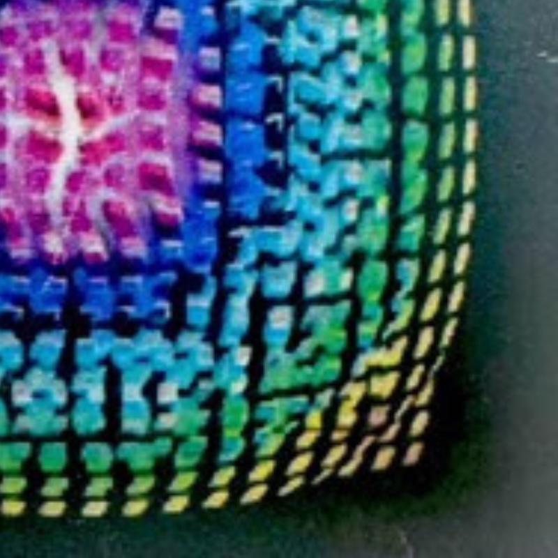 Irradiata da un vibrante nucleo magenta, la Danza del Disordine Cosmico si sviluppa in strati ritmici di blu, verde e giallo, creando la sensazione di energia pulsante. I precisi motivi geometrici di Agam sembrano piegarsi e deformarsi nello spazio,