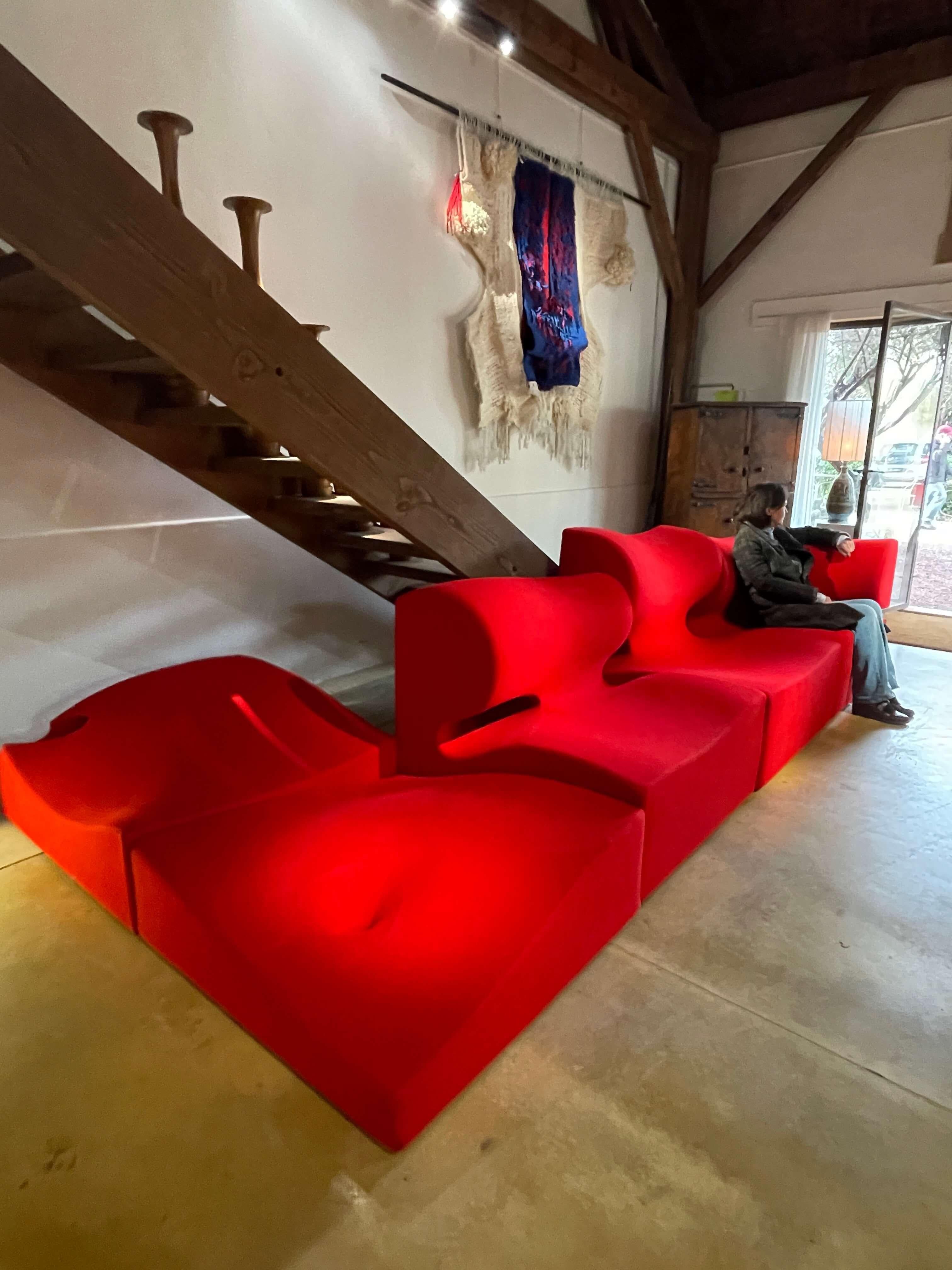 RON ARAD, 