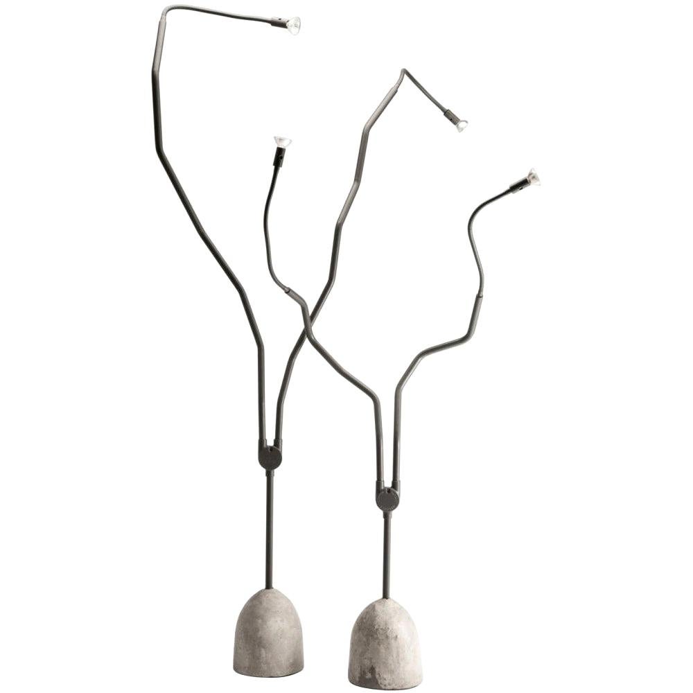 Zwei Lampen, Modell-Baumleuchte von Ron Arad für Zeus, Mailand