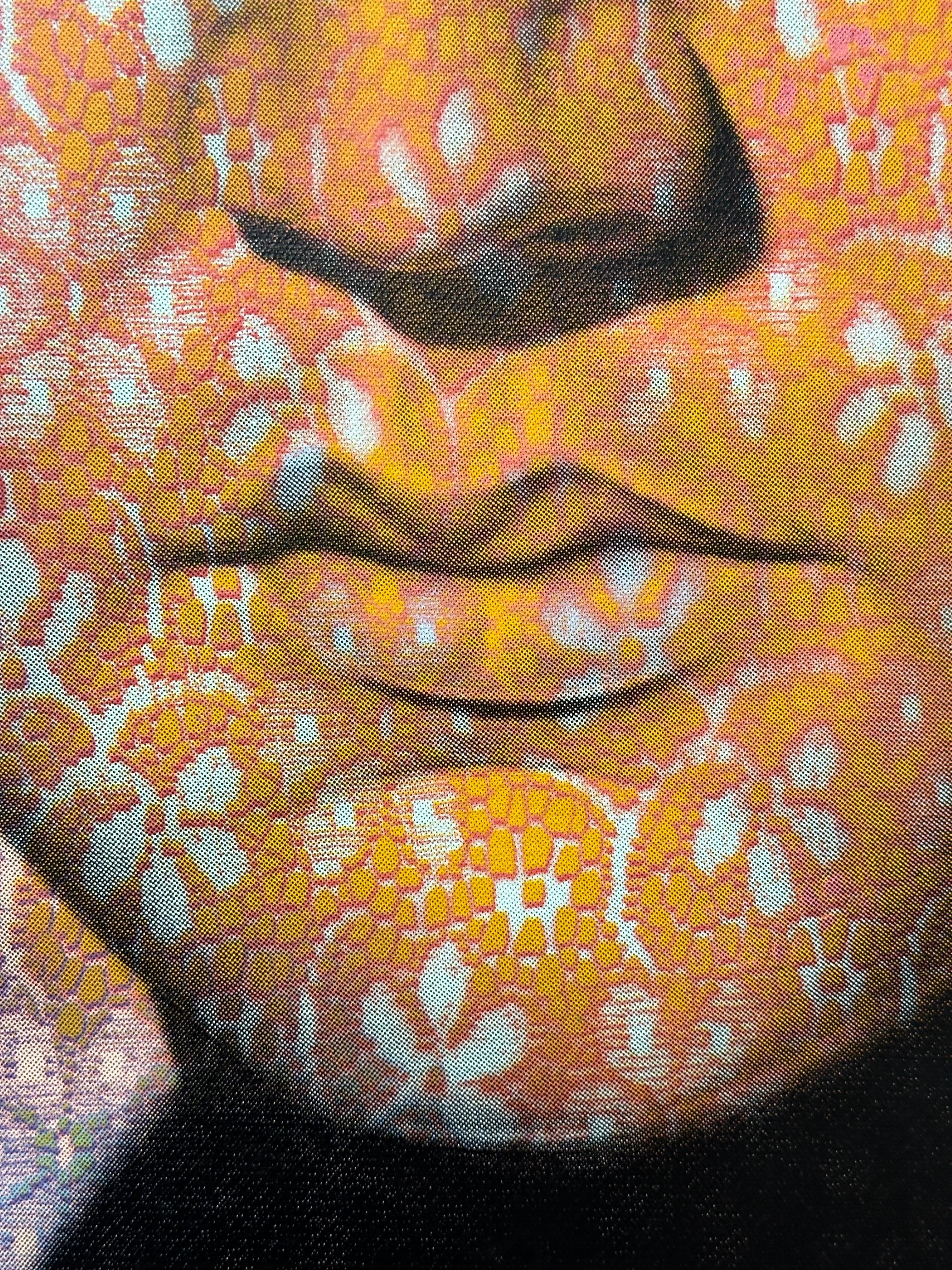 Ron English Pop Elvis/Elvis in Purple and Orange For Sale 5