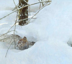 Grouse
